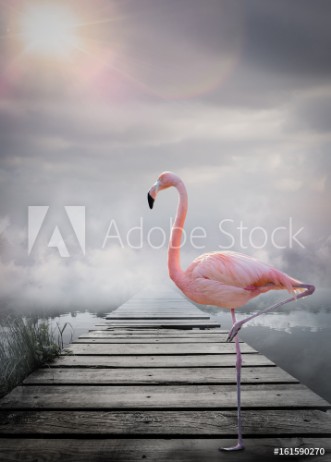 Picture of Flamant rose monde imaginaire